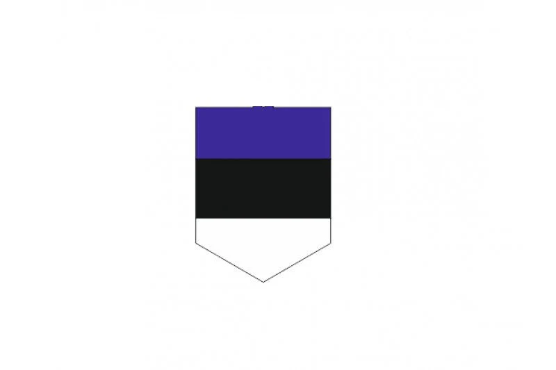 Car emblem badge with flag of Estonia