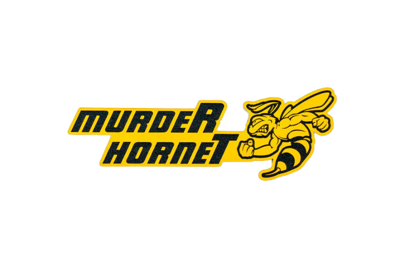 Dodge Challenger trunk rear emblem between tail lights with murdeR horneT logo