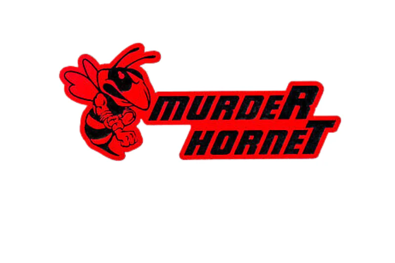 Dodge Challenger trunk rear emblem between tail lights with murdeR horneT logo (type 2)