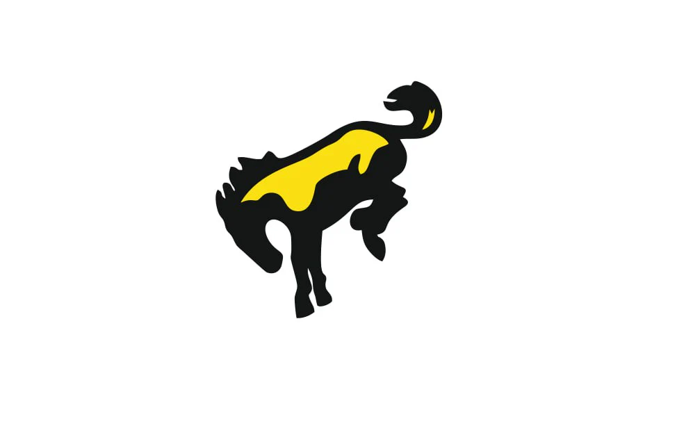 Ford Bronco emblem for fenders with Bronco logo (Type 3) - Image 6