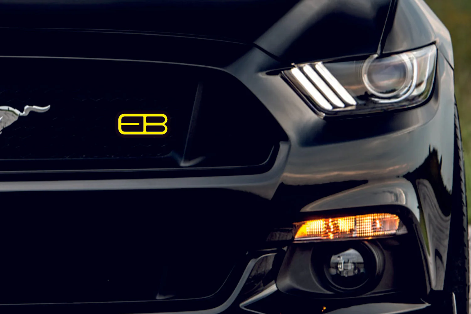 Ford Emblem & Badges set with EB logo - Image 4