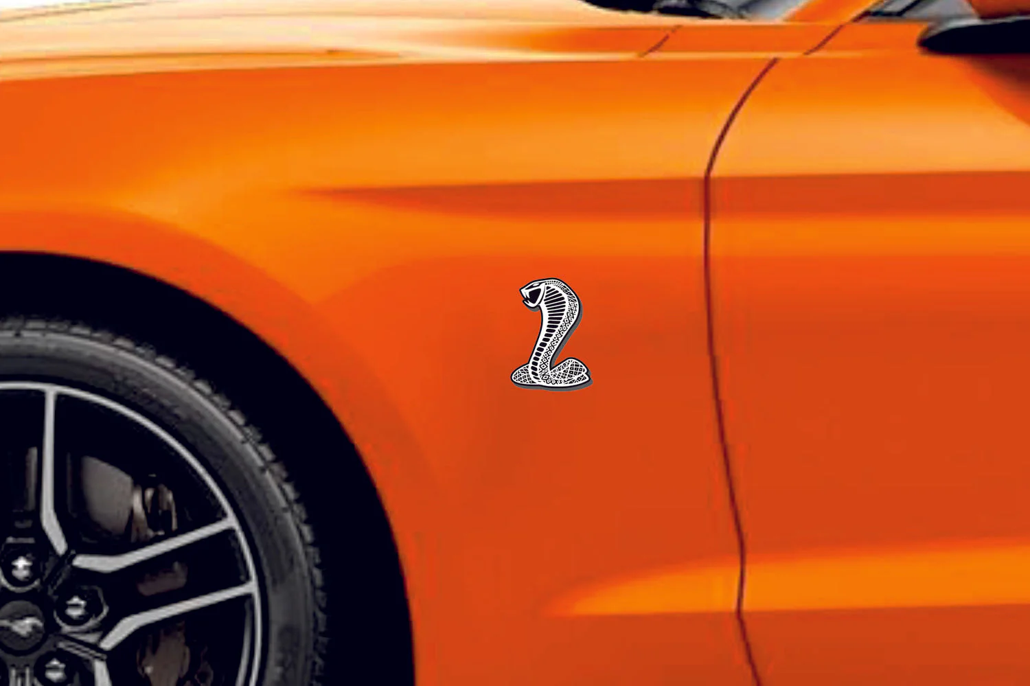 Ford Emblem & Badges set with Mustang Snake logo - Image 11