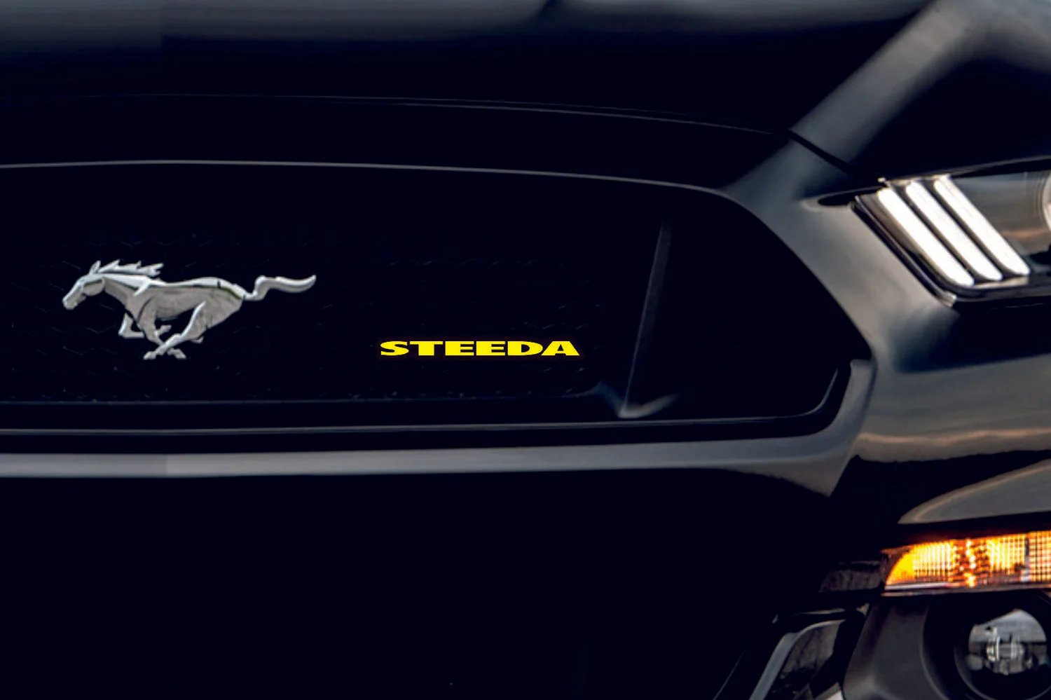 Ford Emblem & Badges set with Steeda logo - Image 4