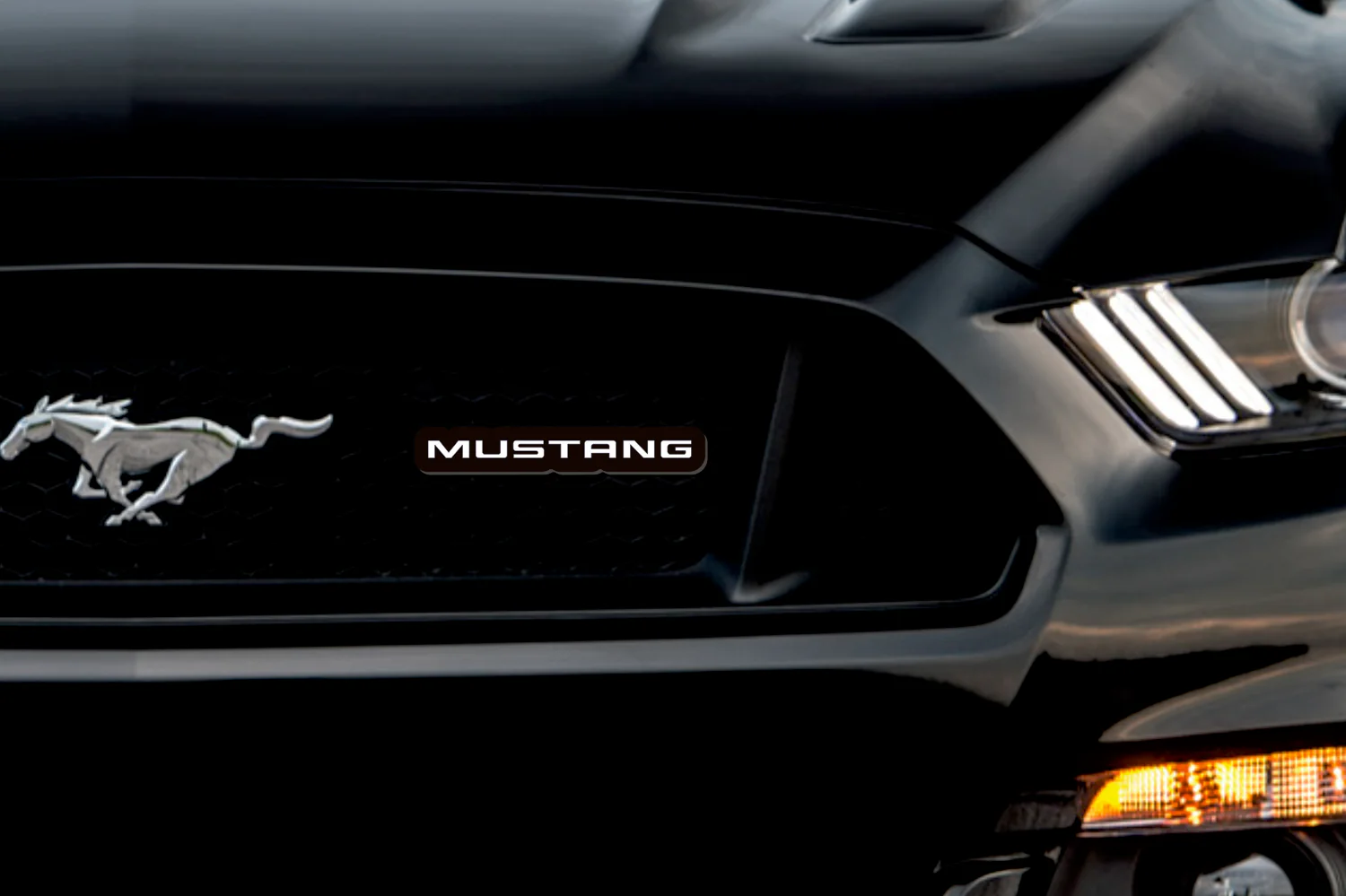 Ford Illuminated LED Radiator Grille Emblems and Badges with Mustang (type 1) logo - Image 2