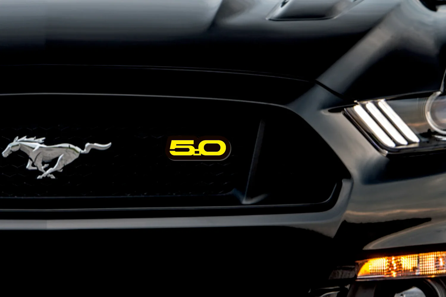 Ford Illuminated LED Radiator Grille Emblems and Badges with Mustang 5.0 (type 1) logo - Image 9