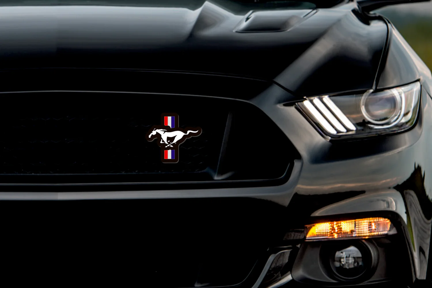Ford Illuminated LED Radiator Grille Emblems and Badges with Mustang 5.0 (type 3) logo - Image 2