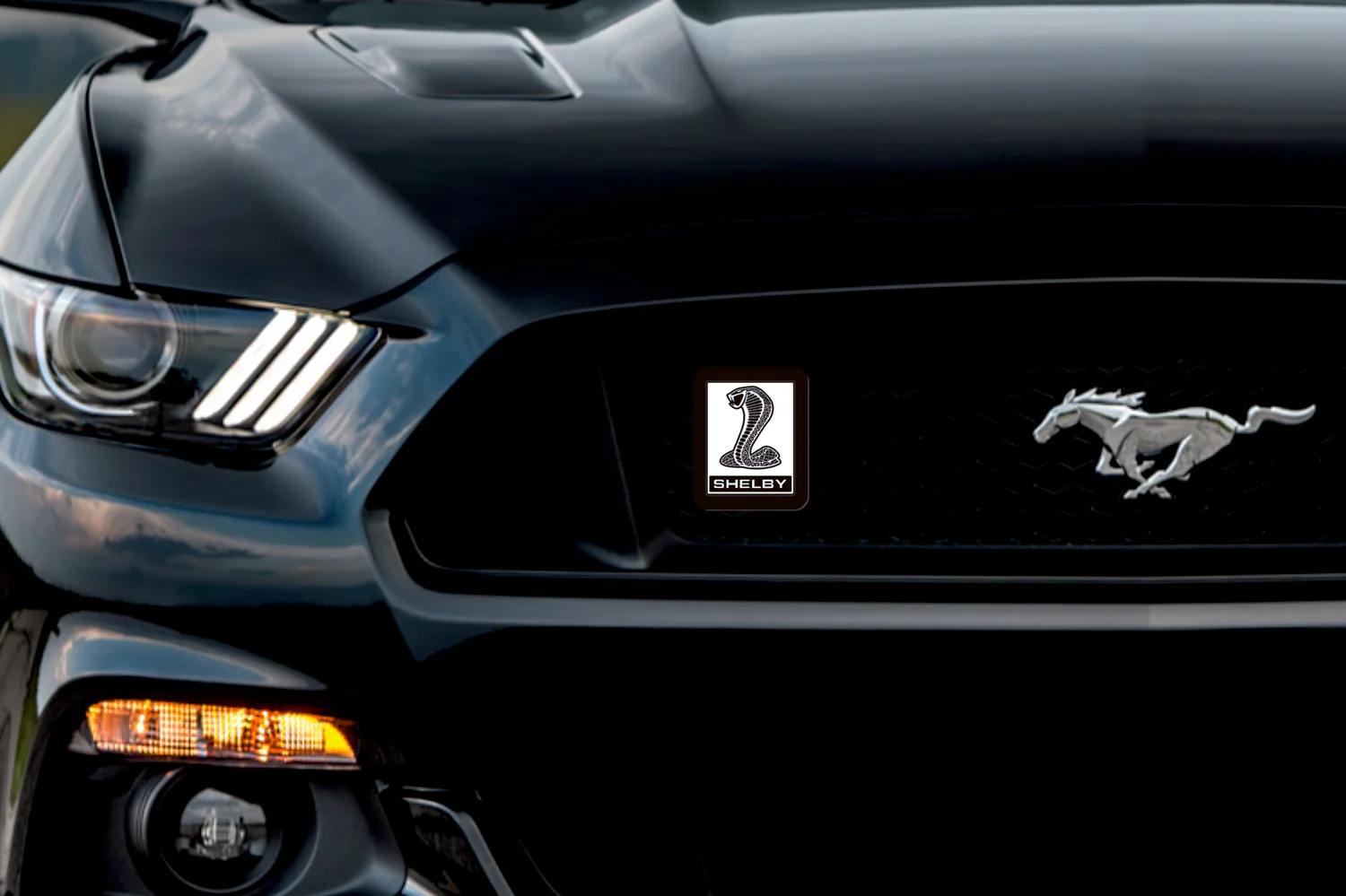 Ford Illuminated LED Radiator Grille Emblems and Badges with Mustang Snake Shelby logo - Image 2