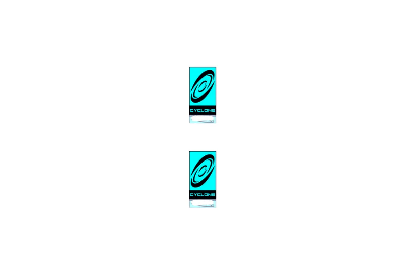 Ford Mustang Emblem & Badge Set - Grille and Tailgate Cyclone logo (Type 2)