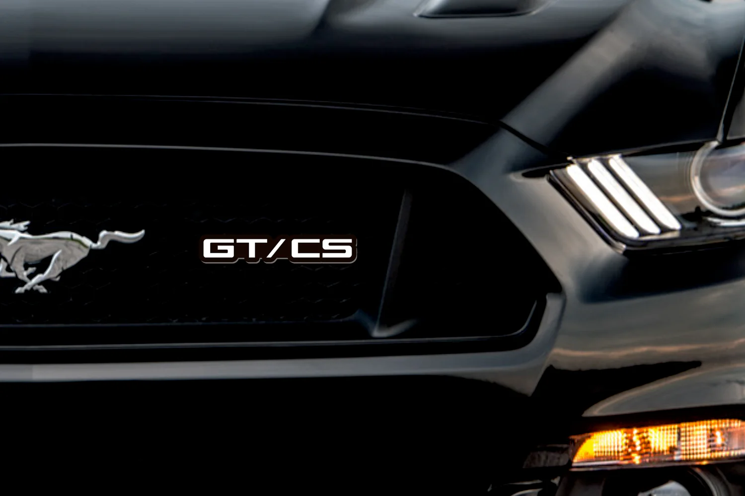 Ford Mustang Emblem & Badge Set - Grille and Tailgate GT/CS logo (Type 2) - Image 2