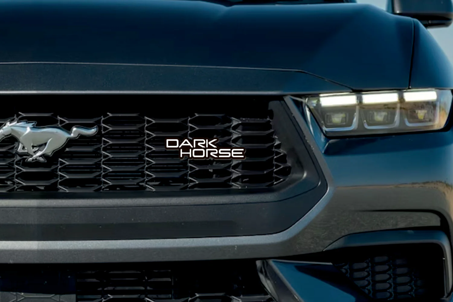 Ford Mustang Emblem & Badge Set - Grille and Tailgate Mustang Dark Horse logo (Type 2) - Image 2