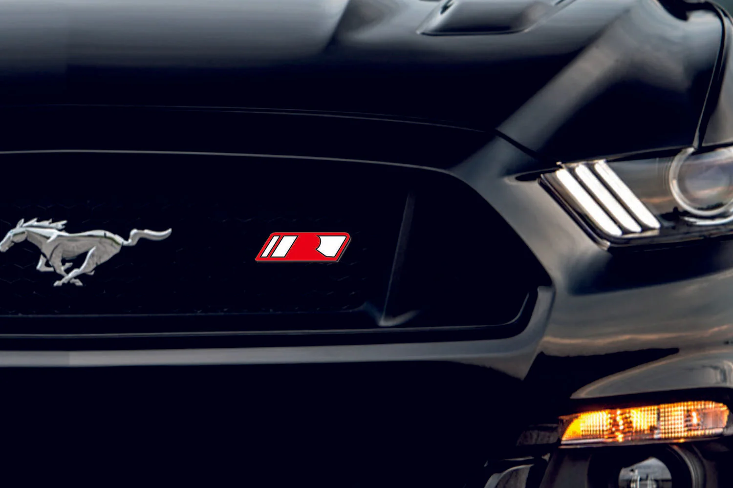 Ford Mustang Emblem & Badge Set - Grille and Tailgate Roush logo (Type 3) - Image 2