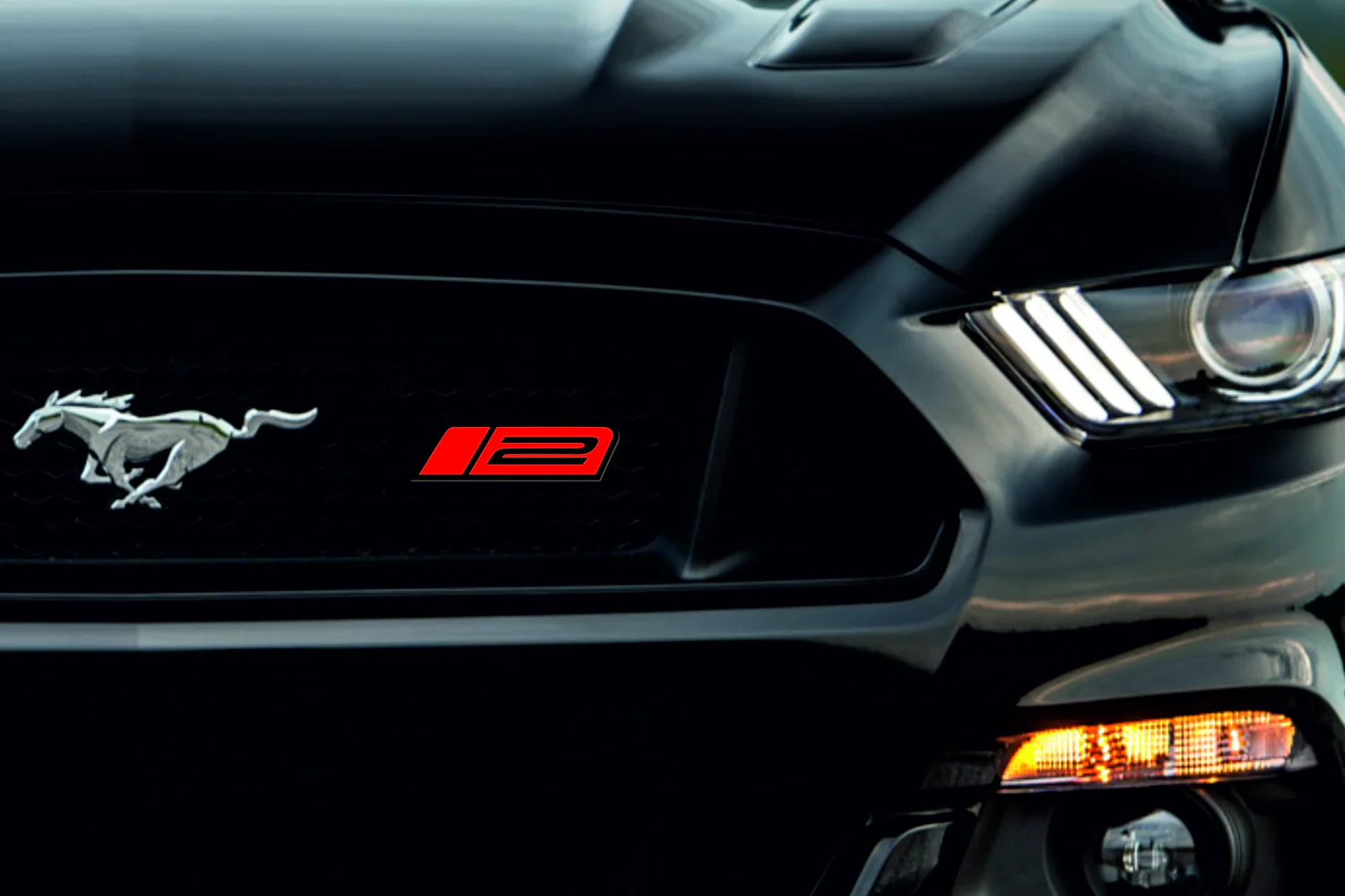Ford Mustang Emblem & Badge Set - Grille and Tailgate Roush Stage 2 logo - Image 2