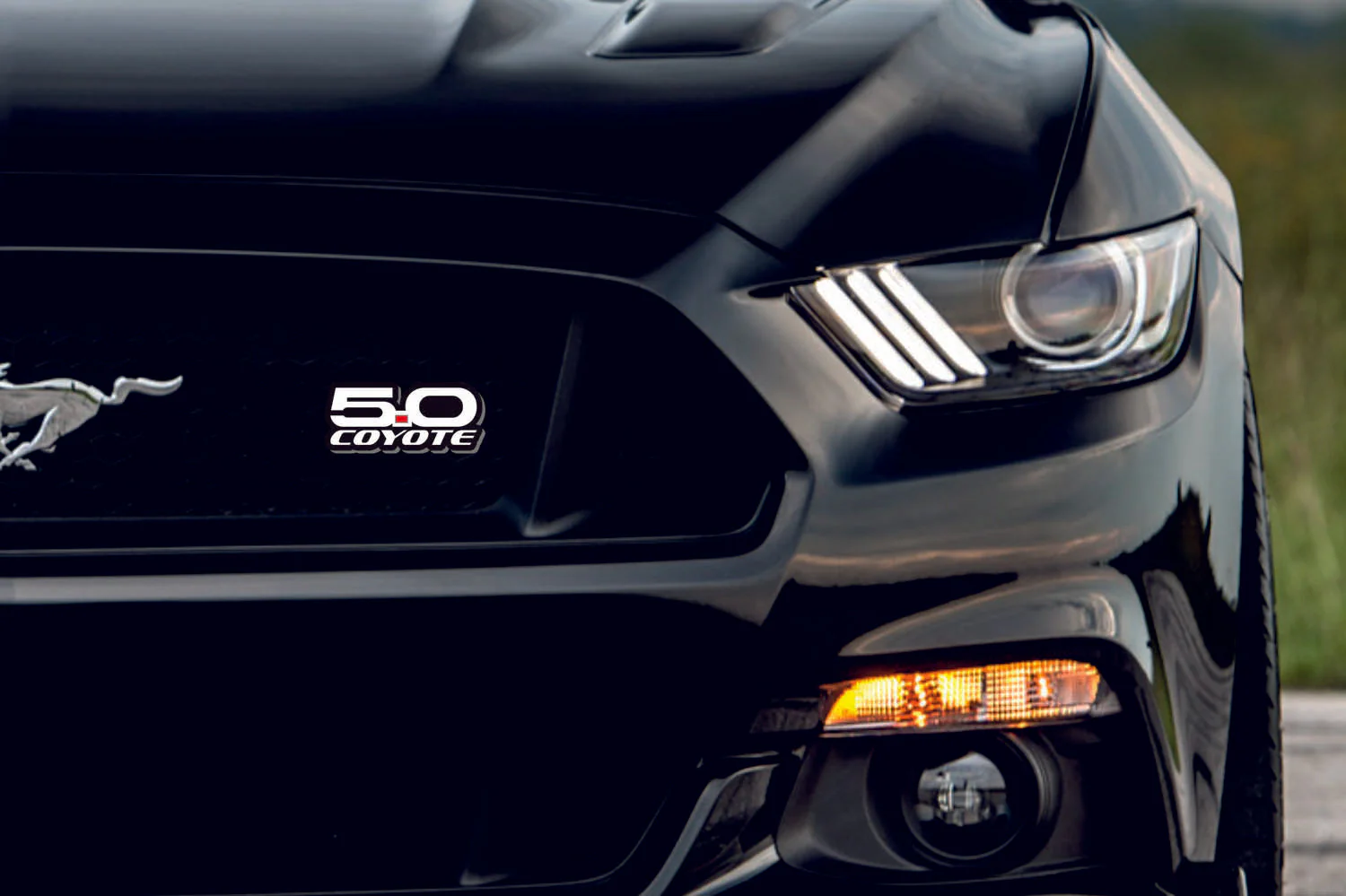 Ford Mustang Emblem & Badges set with 5.0 Coyote logo - Image 4