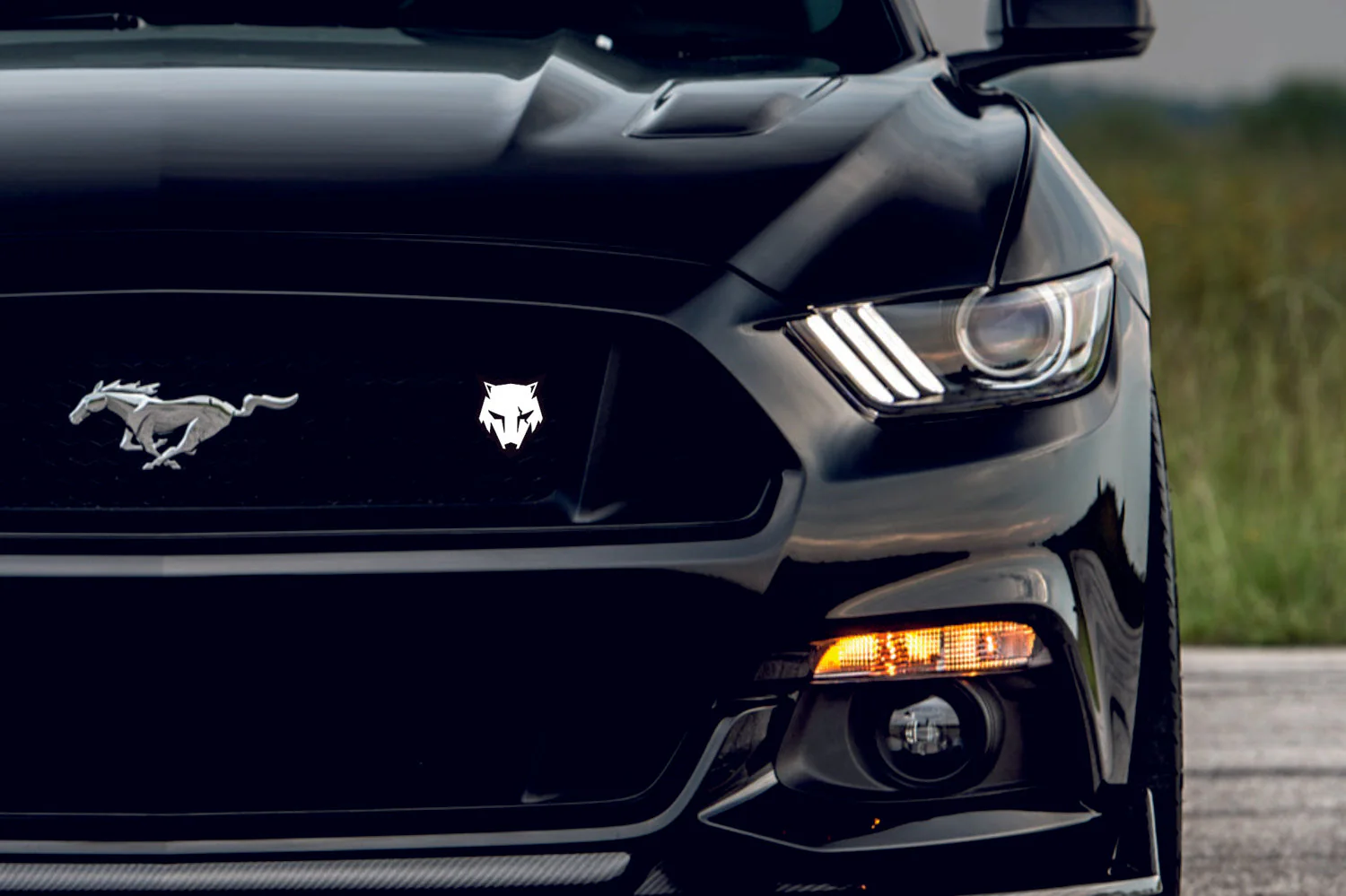 Ford Mustang Emblem & Badges set with Coyote logo - Image 5