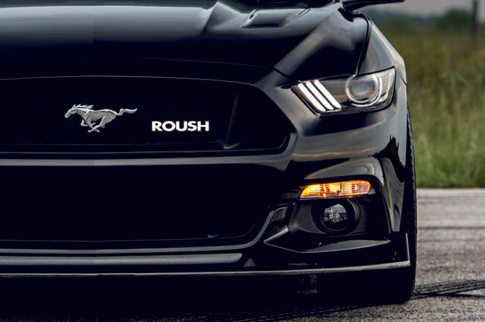 Ford Mustang Emblem & Badges set with Roush logo - Image 5