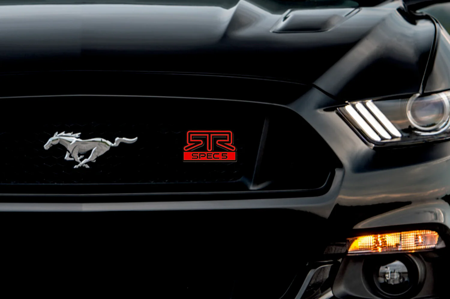 Ford Radiator grille emblem with RTR Spec 5 logo - Image 2