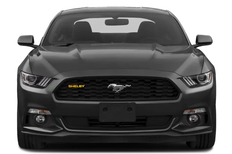 Ford Radiator grille emblem with Shelby logo - Image 10