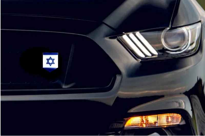 Radiator grille emblem with Israel logo - Image 2