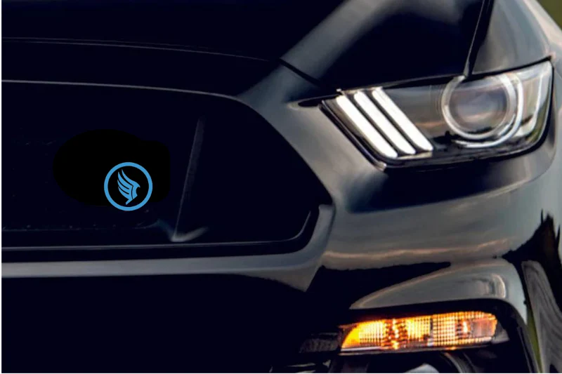 Radiator grille emblem with PARAGON logo - Image 2